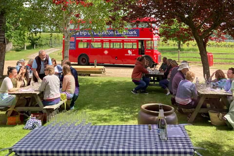 From Brighton: Sussex Wine Tour on a Vintage Bus with Lunch