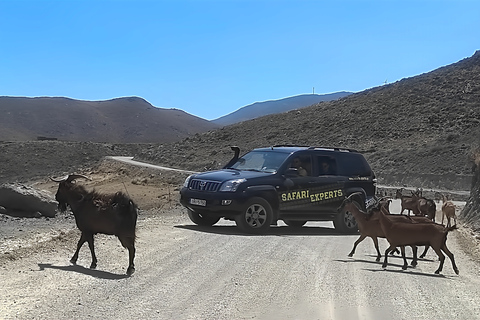 Crete: Trypiti Beach Off-Road South Tour w/ Lunch &amp; WineCrete: Trypiti Gorge and South Cretan sea Safari