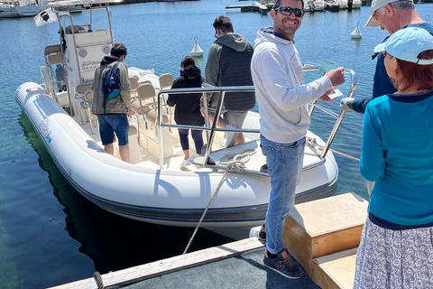 Cargèse: Calanques of Piana Capo Rosso Semi-Rigid Boat Tour