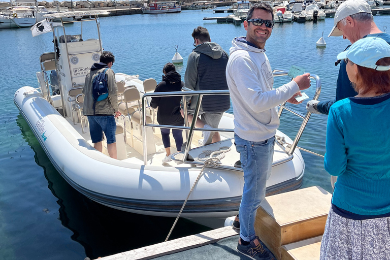 Cargèse: Calanques of Piana Capo Rosso Semi-Rigid Boat Tour