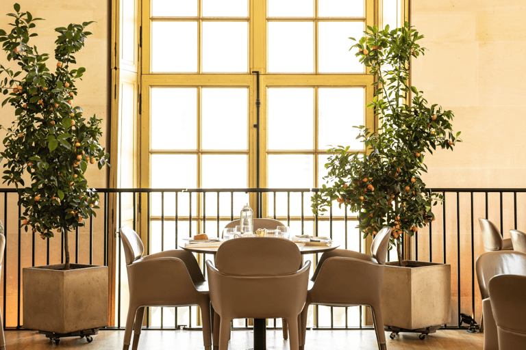 Versailles : Entrée sans file d'attente et heure du thé à Ore