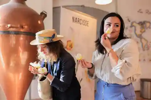 Da Nizza: Visita pomeridiana di Grasse e Saint-Paul-de-Vence