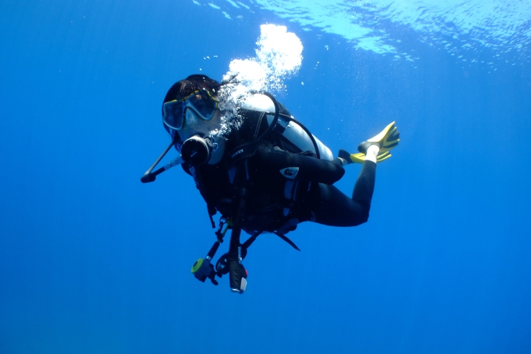 1/2 journée de plongée sous-marine à Santa Marta et Tayrona pour les débutantsPADI 1/2 journée de plongée sous-marine Parque Tayrona pour débutants