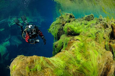 Tour de un día de buceo en SilfraTour autónomo