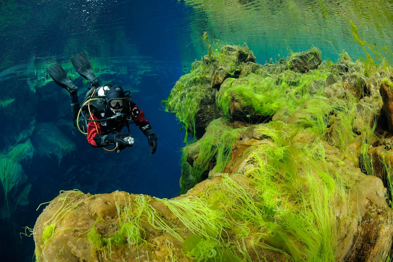 Silfra: Diving Between Tectonic PlatesWith Meeting Point