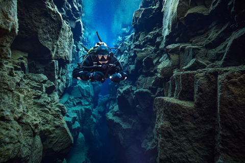 Tour de un día de buceo en SilfraTour autónomo