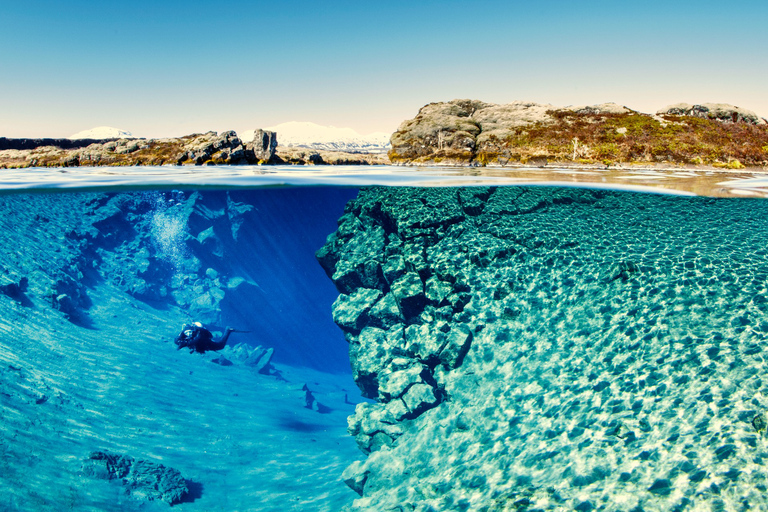 Tour de un día de buceo en SilfraTour autónomo