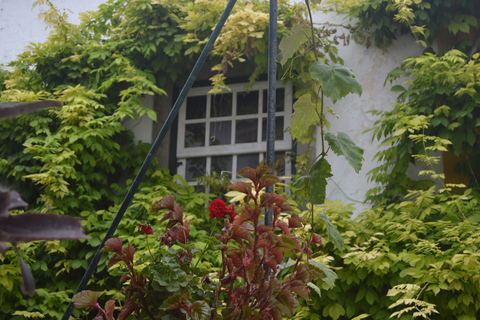 Óbidos: Medieval Tales & Secrets Spots Guided Walking Tour