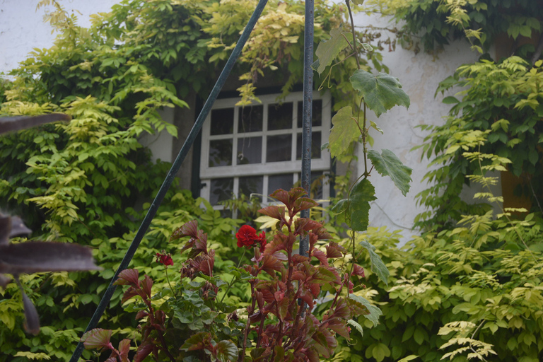 Óbidos: Medieval Tales & Secrets Spots Guided Walking Tour