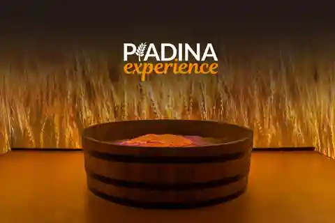 Входной билет в музей Piadina Experience