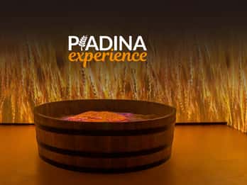 Rimini: ingresso para o museu Piadina Experience