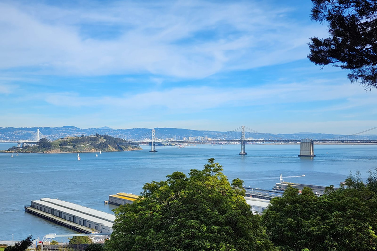 Visita a la ciudad de San Francisco en grupo reducido de medio díaSan Francisco: Tour de lo más destacado de la ciudad con traslado