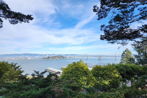 Visita a la ciudad de San Francisco en grupo reducido de medio díaSan Francisco: Tour de lo más destacado de la ciudad con traslado