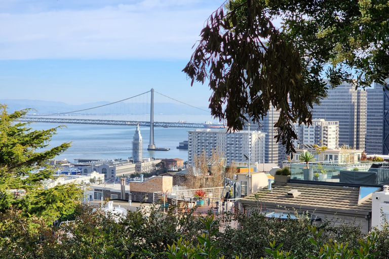 Visita a la ciudad de San Francisco en grupo reducido de medio díaSan Francisco: Tour de lo más destacado de la ciudad con traslado