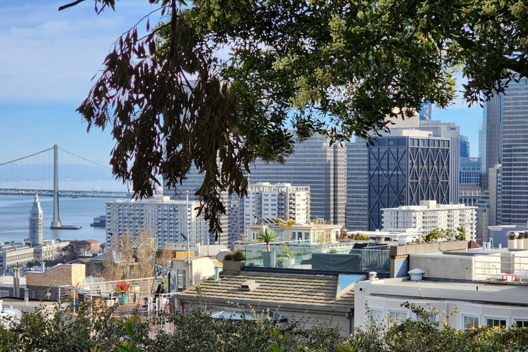 Visita a la ciudad de San Francisco en grupo reducido de medio díaSan Francisco: Tour de lo más destacado de la ciudad con traslado