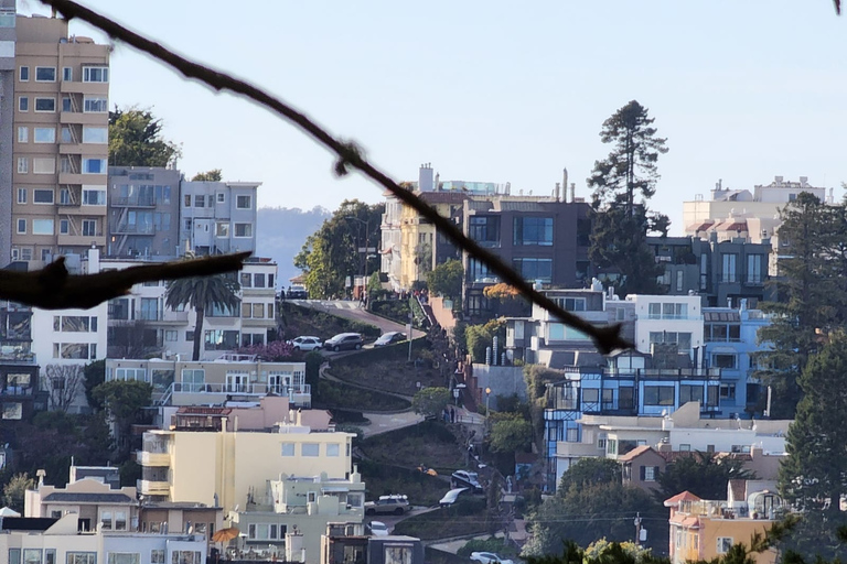 Visita a la ciudad de San Francisco en grupo reducido de medio díaSan Francisco: Tour de lo más destacado de la ciudad con traslado