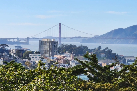 Visita a la ciudad de San Francisco en grupo reducido de medio díaSan Francisco: Tour de lo más destacado de la ciudad con traslado