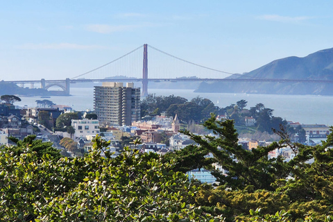 Visita a la ciudad de San Francisco en grupo reducido de medio díaSan Francisco: Tour de lo más destacado de la ciudad con traslado