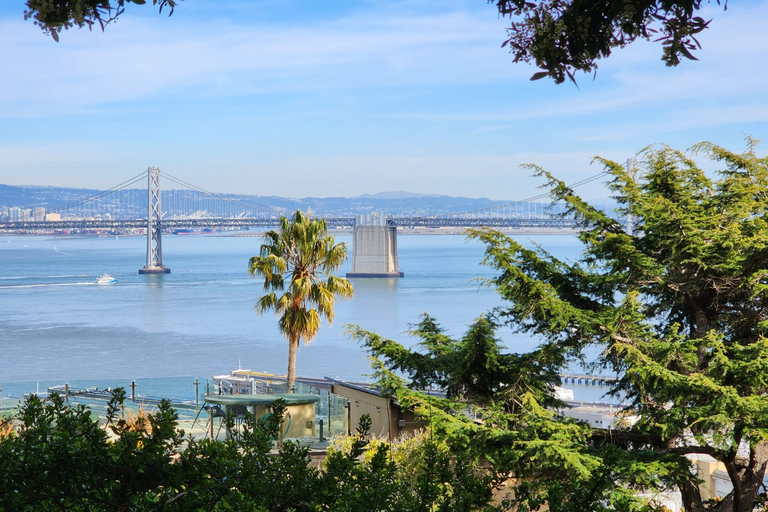 Visita a la ciudad de San Francisco en grupo reducido de medio díaSan Francisco: Tour de lo más destacado de la ciudad con traslado