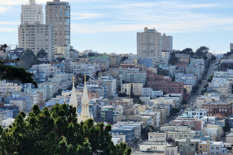 Visita a la ciudad de San Francisco en grupo reducido de medio díaSan Francisco: Tour de lo más destacado de la ciudad con traslado