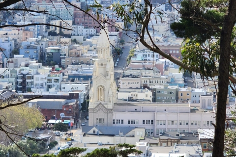Visita a la ciudad de San Francisco en grupo reducido de medio díaSan Francisco: Tour de lo más destacado de la ciudad con traslado