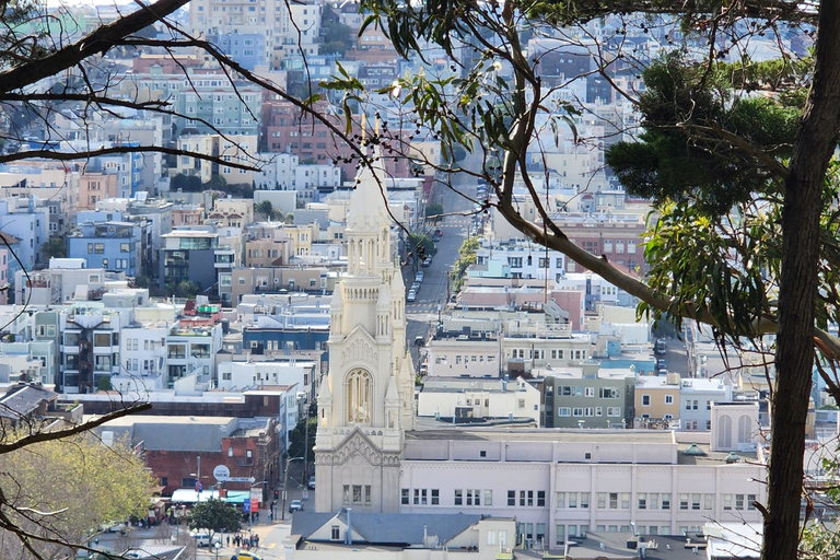 Visita a la ciudad de San Francisco en grupo reducido de medio díaSan Francisco: Tour de lo más destacado de la ciudad con traslado