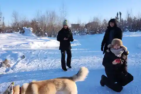 Yellowknife: passeio de trenó puxado por cães