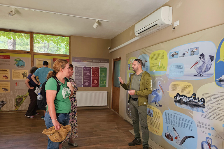 Från Durrës: Divjakë-Karavasta nationalpark dagsutflykt