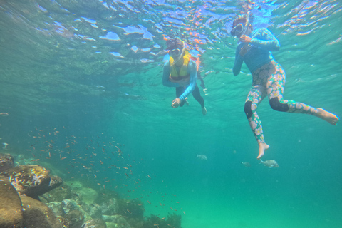 Manly Beach Guided Snorkeling Tours Open Group Tour