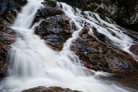 Kedah: Magnificent Jerai Multi Waterfalls Hunt & Jungle Trek Hippo: Challenging Canyon Loop (8km | 10 falls)