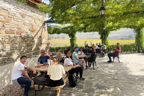 Porto: Douro Valley Hike and Winery Tour w/ Tasting & Picnic