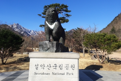 From Seoul: Seoraksan, Nami, and Garden of Morning Calm Tour Group Tour, Meet at Hongdae