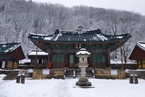 Seoul: UNESCO Seoraksan, Nami und Morning Calm Garden TourGruppentour (Herbstlaub-Saison), Treffen in Hongdae
