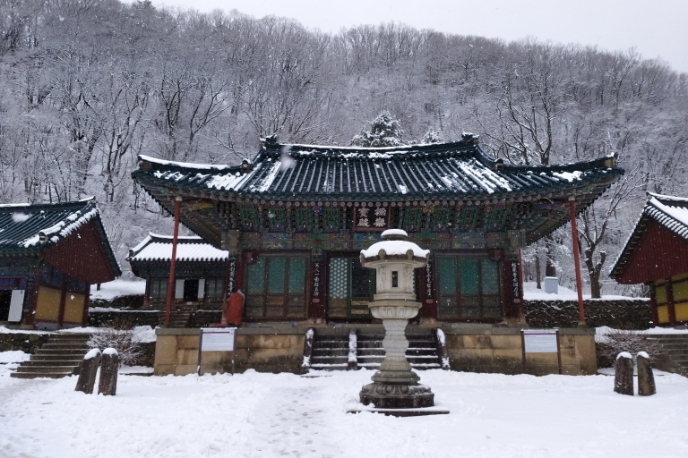 Séoul : UNESCO Seoraksan, Nami, et visite des jardins de Morning CalmVisite privée, avec prise en charge et dépose à l'hôtel