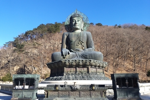 Seúl: Recorrido por Seoraksan, Nami y el Jardín de la Calma Matutina de la UNESCOExcursión en grupo, encuentro en Myeongdong