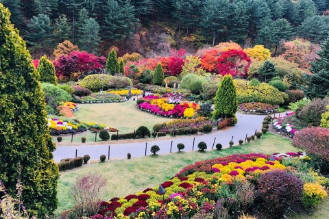 Seoul: UNESCO Seoraksan, Nami en Morning Calm Garden TourGroepsreis, ontmoeting in Myeongdong