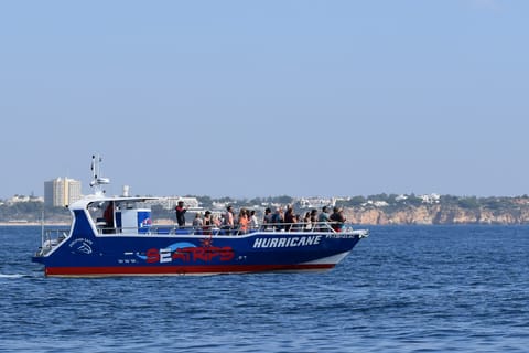 Lagos: Observação de Golfinhos e Passeio pela Gruta de Benagil c/ Guia Marinho