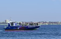 Lagos, Dolphin Watching e Benagil Cave Tour com/ guia marítimo - Housity