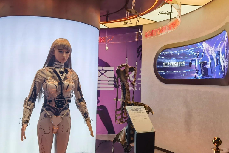 Hangzhou Future Technology Experience (Robots and AI)