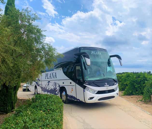 Barcelona Airport Transfer to/from Tarragona Bus Station GetYourGuide