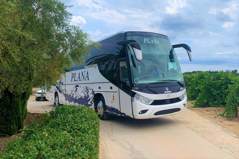 Flughafen Barcelona: Transfer zum/vom Busbahnhof TarragonaEinzeln von Barcelona Flughafen nach Tarragona Stadtzentrum