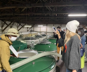 Tokyo: Toshimaya Sake Brewery Tour with Sake Tasting
