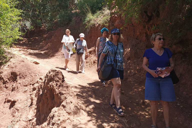 Ouzoud Waterfalls Day Trip