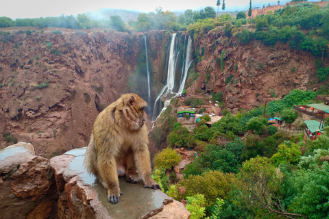 Ouzoud Waterfalls Day Trip