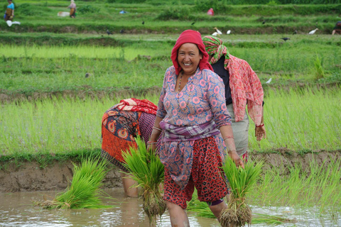 Beste van Nepal en Bhutan Tour