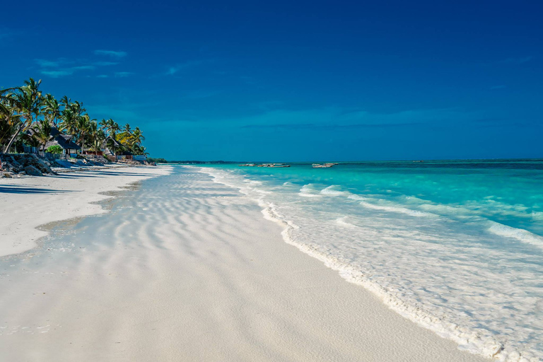 Visite de la ville de Stone Town ; visite de la forêt de Jozani ; grotte de Kuza ; plage de Paje.