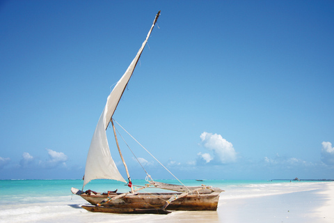 Visite de la ville de Stone Town ; visite de la forêt de Jozani ; grotte de Kuza ; plage de Paje.