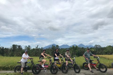 Ubud: Rice Terraces & Villages Half-Day Fat Tire E-Bike Tour