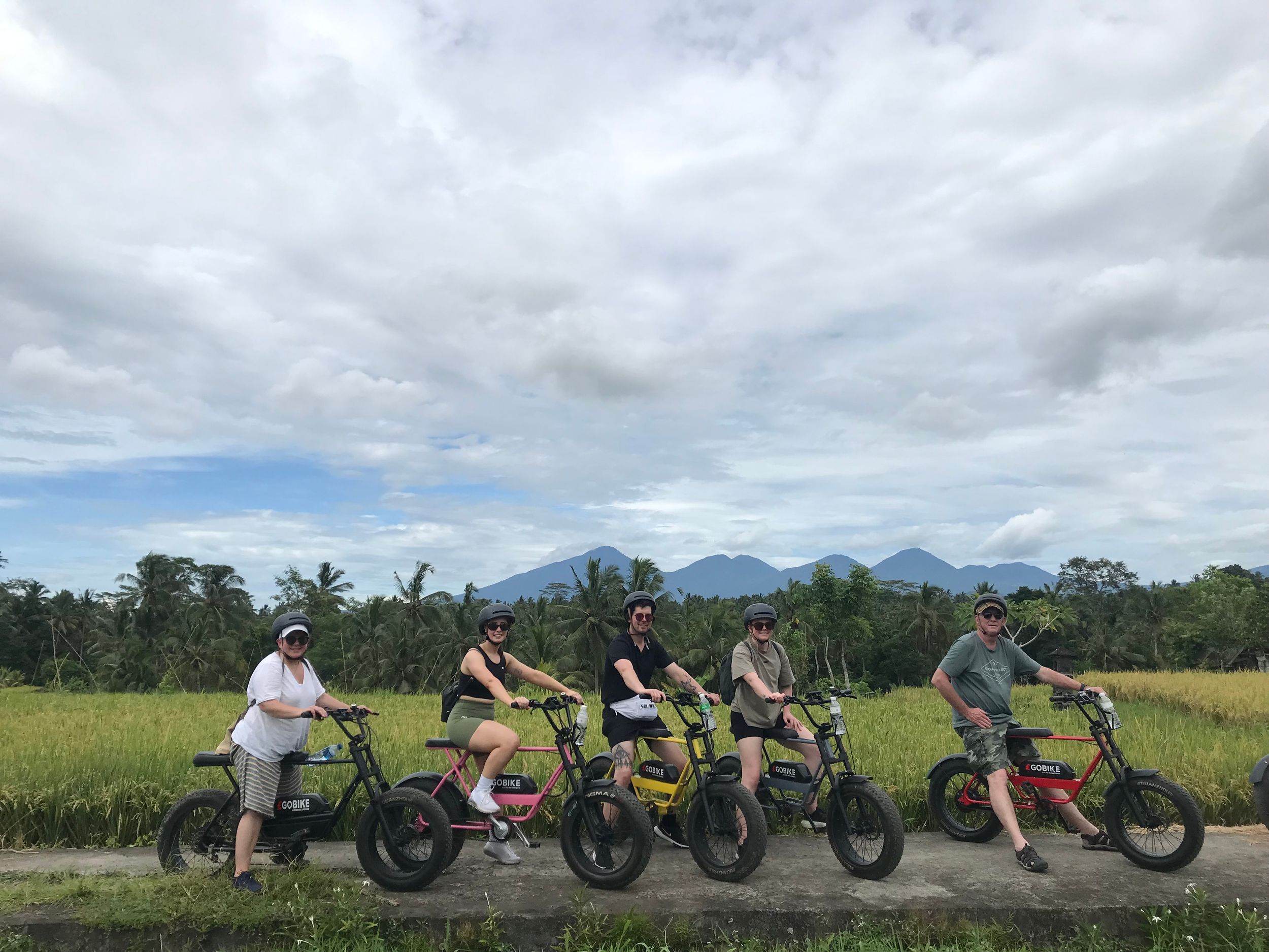 Ubud: Reisterrassen & Dörfer Halbtagestour mit dem Fat Tire E-Bike