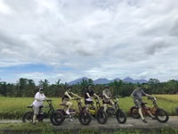 Ubud, Rice Terrass & Villages Half-Day Fat Tire Tour E-Bike - Housity